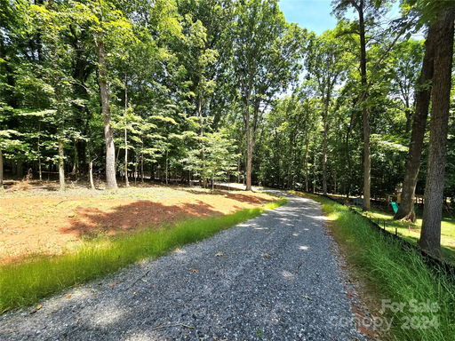 Media Image 2