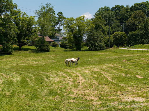 Media Image 3