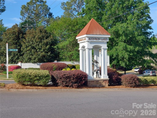 Media Image 2