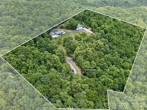 Media Image 2