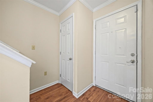 Media Image 3