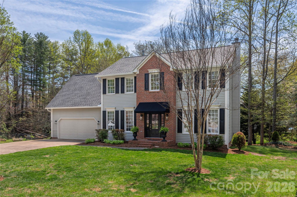 Media Image 1