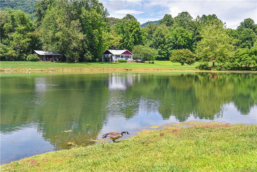 1100 Reems Creek Rd, Weaverville, NC 28787 Home for Sale
