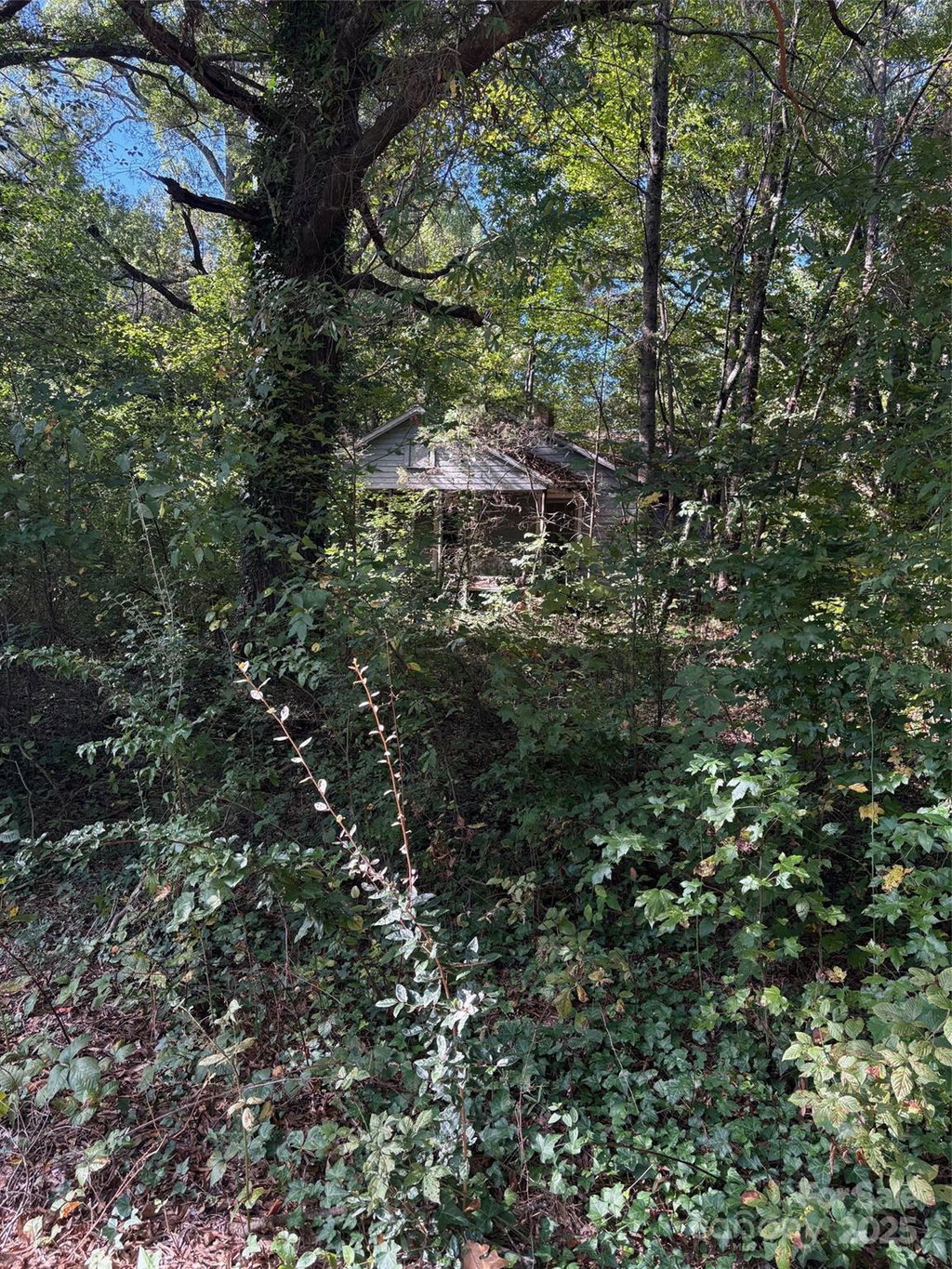 Media Image 1