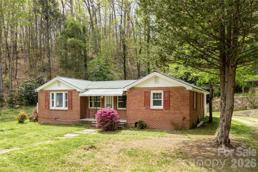 Media Image 1