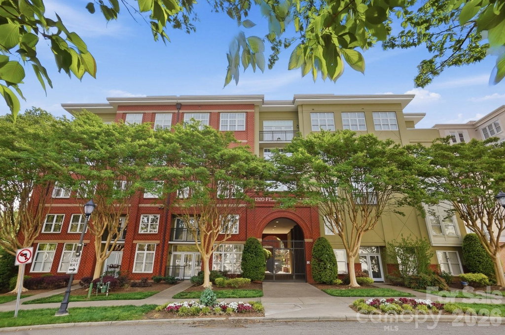Media Image 1