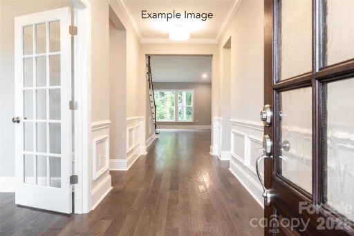 Media Image 3