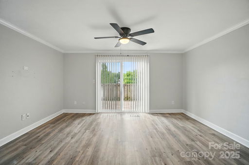 Media Image 3