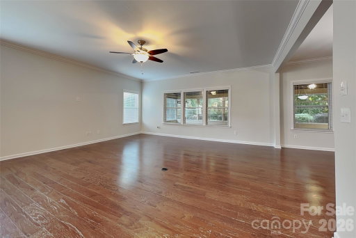Media Image 3