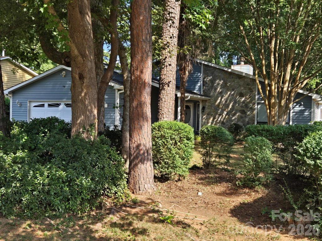 Media Image 1