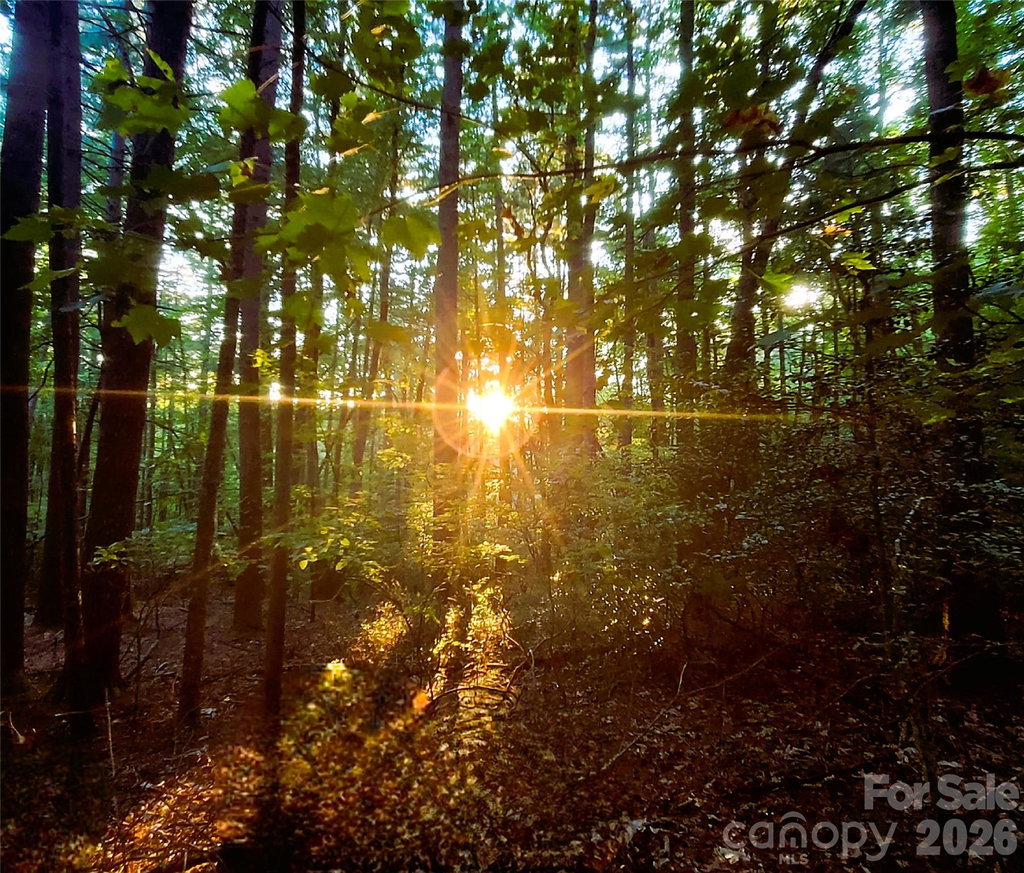 Image Unavailable