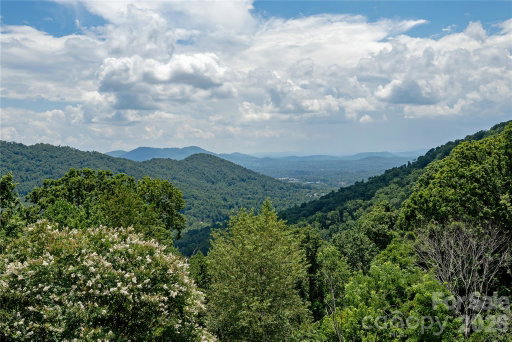 Media Image 2