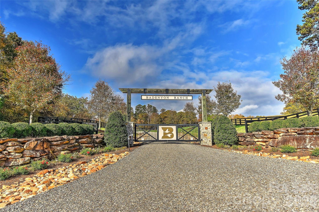 Media Image 1