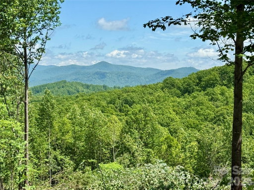 Media Image 3