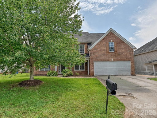 Media Image 2