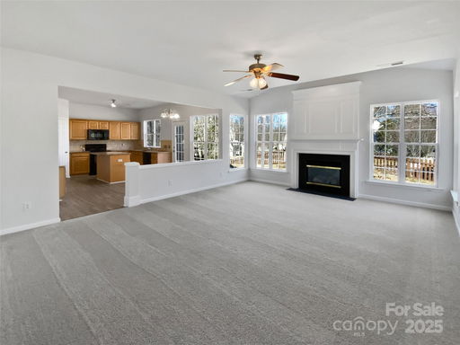 Media Image 3
