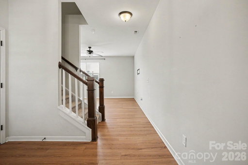 Media Image 3