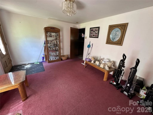 Media Image 3
