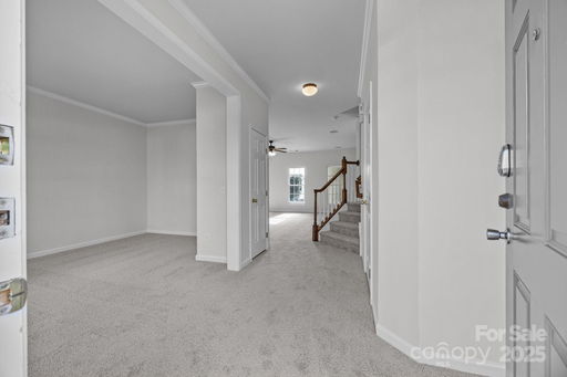 Media Image 3