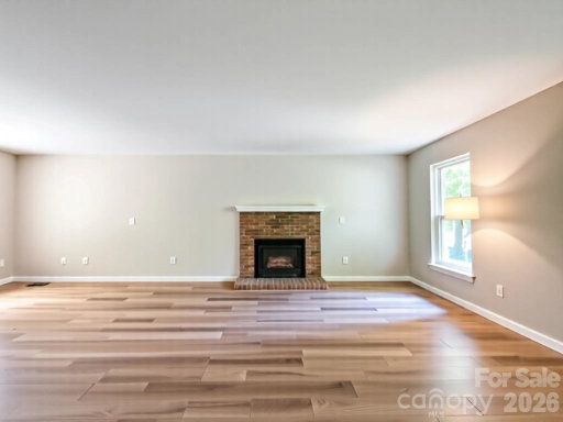 Media Image 3