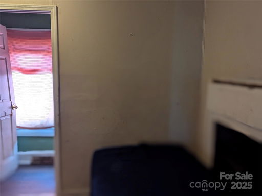 Media Image 3