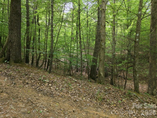 Media Image 3