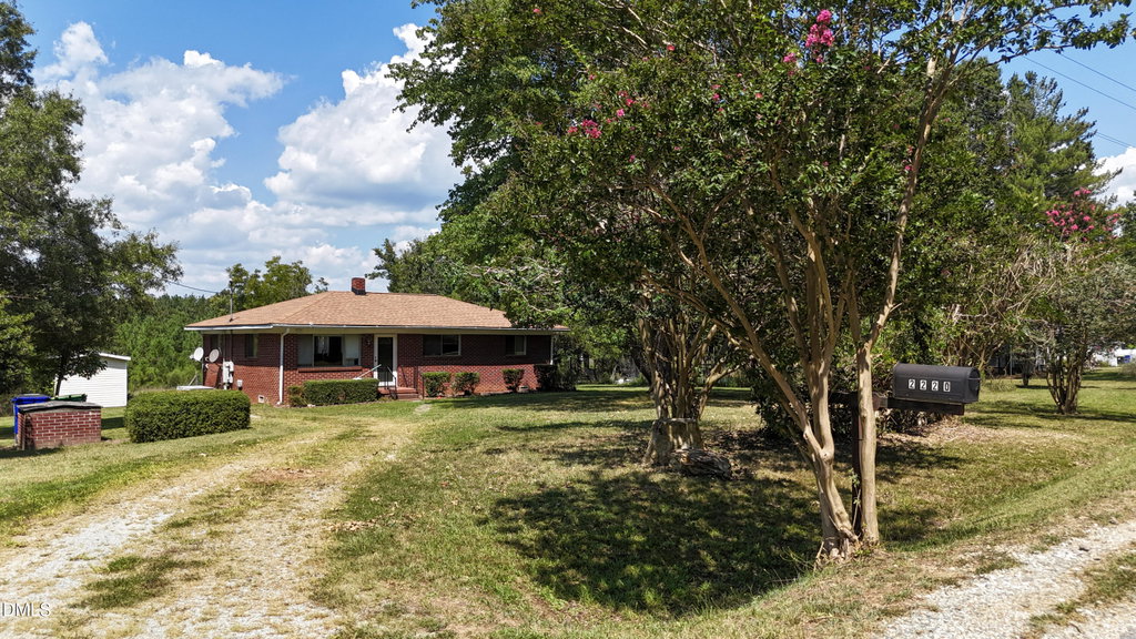 Media Image 1