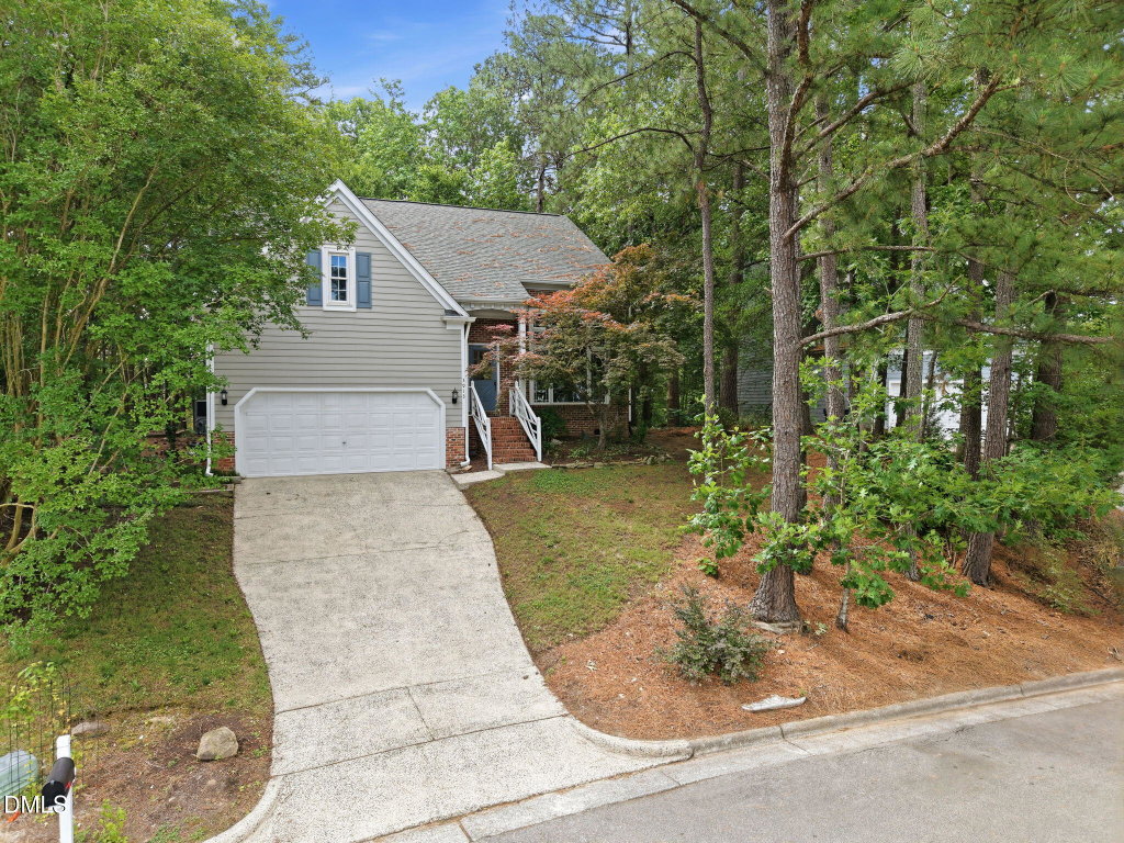 Media Image 1
