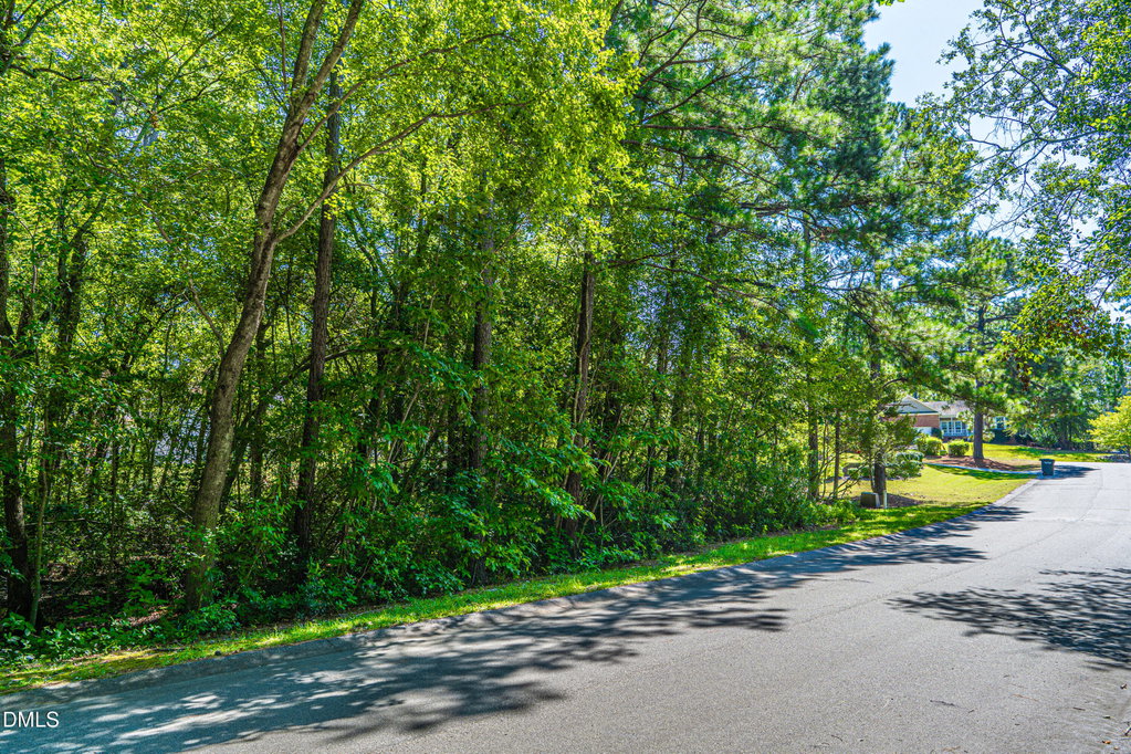 Image Unavailable