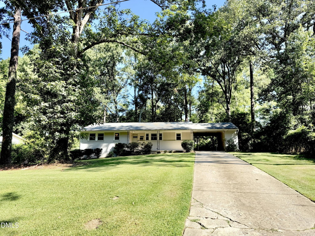 Media Image 1