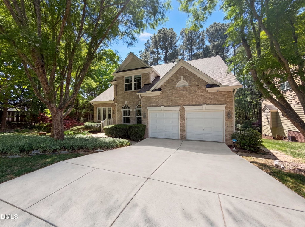 Media Image 1