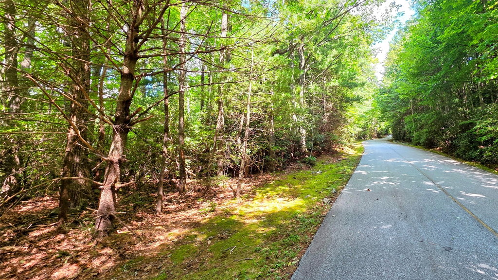 Image Unavailable