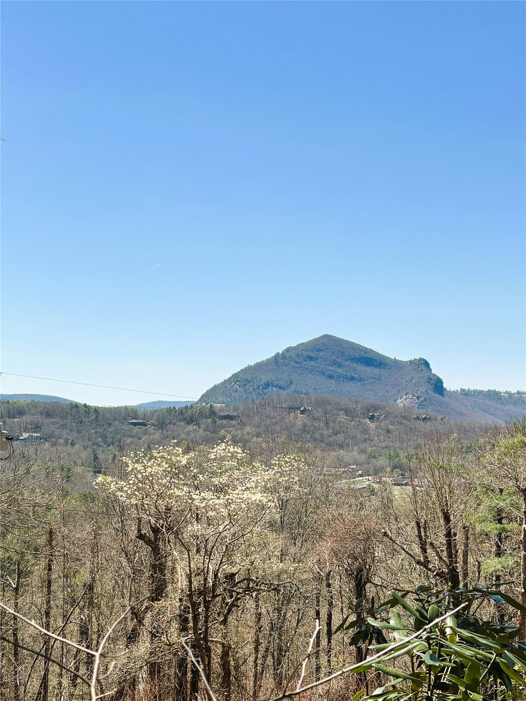 Media Image 1