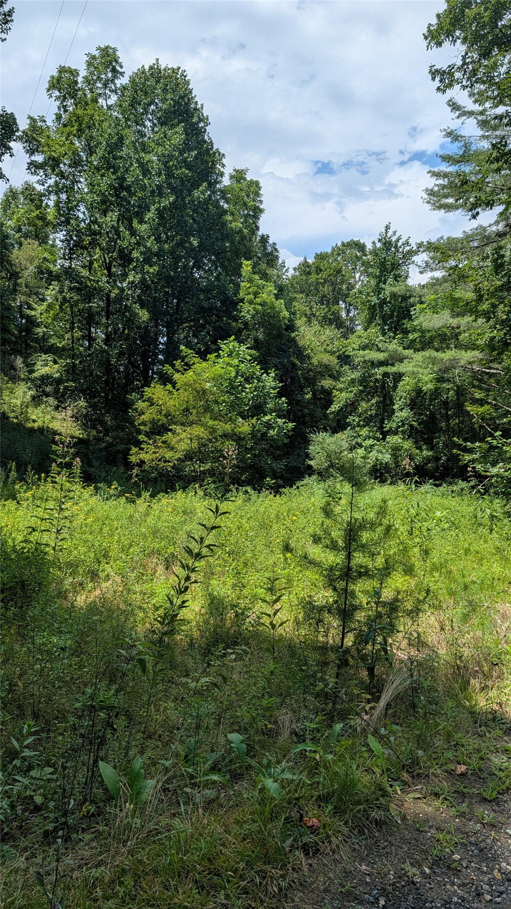 Image Unavailable