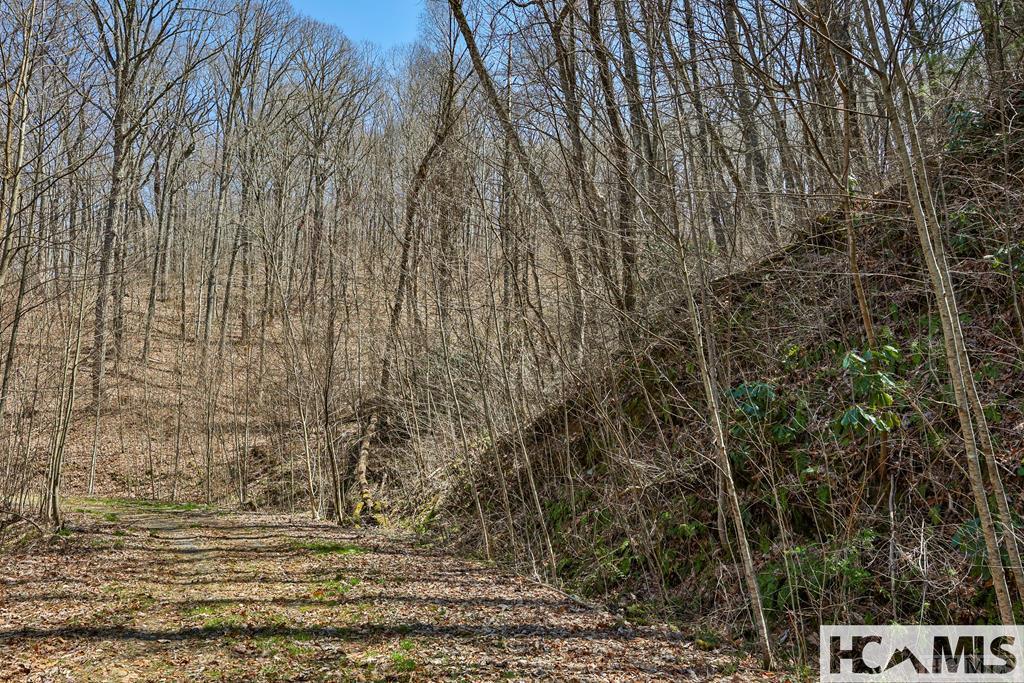 Image Unavailable