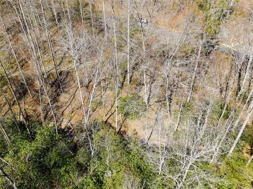 Media Image 3