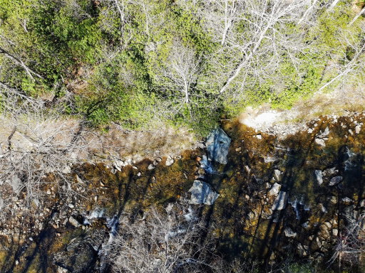 Media Image 2