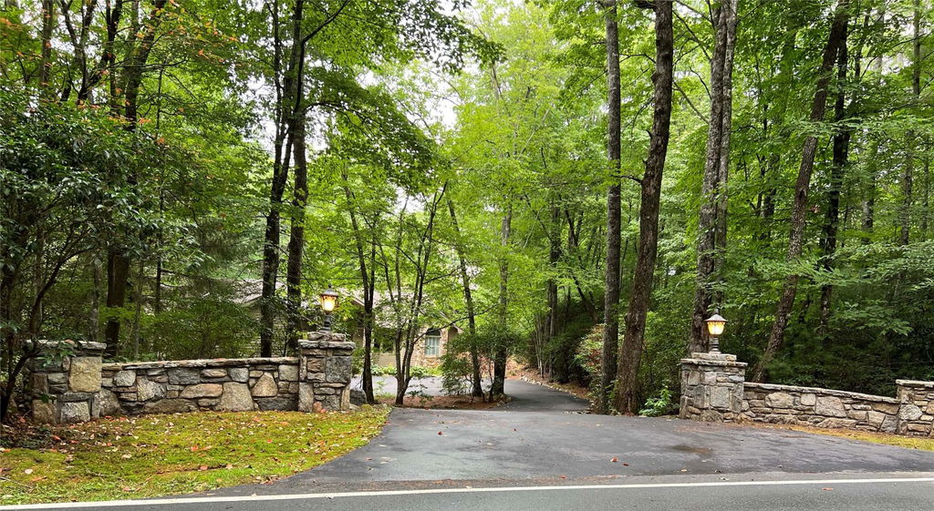 Media Image 1