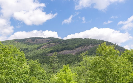 Media Image 3