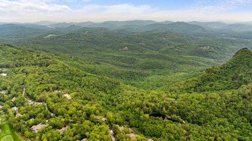 Media Image 3