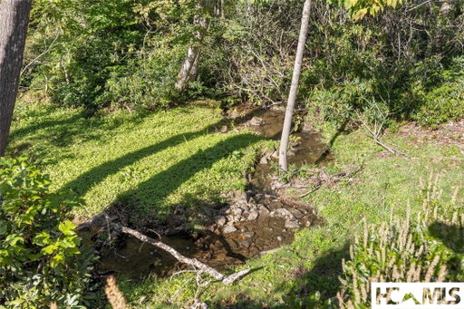 Media Image 3