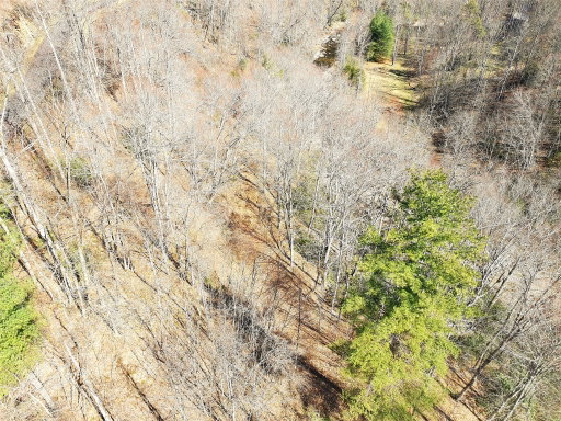 Media Image 2