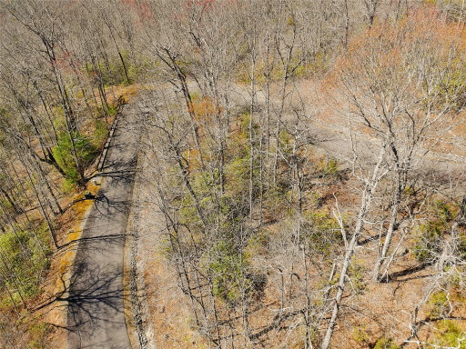 Media Image 2