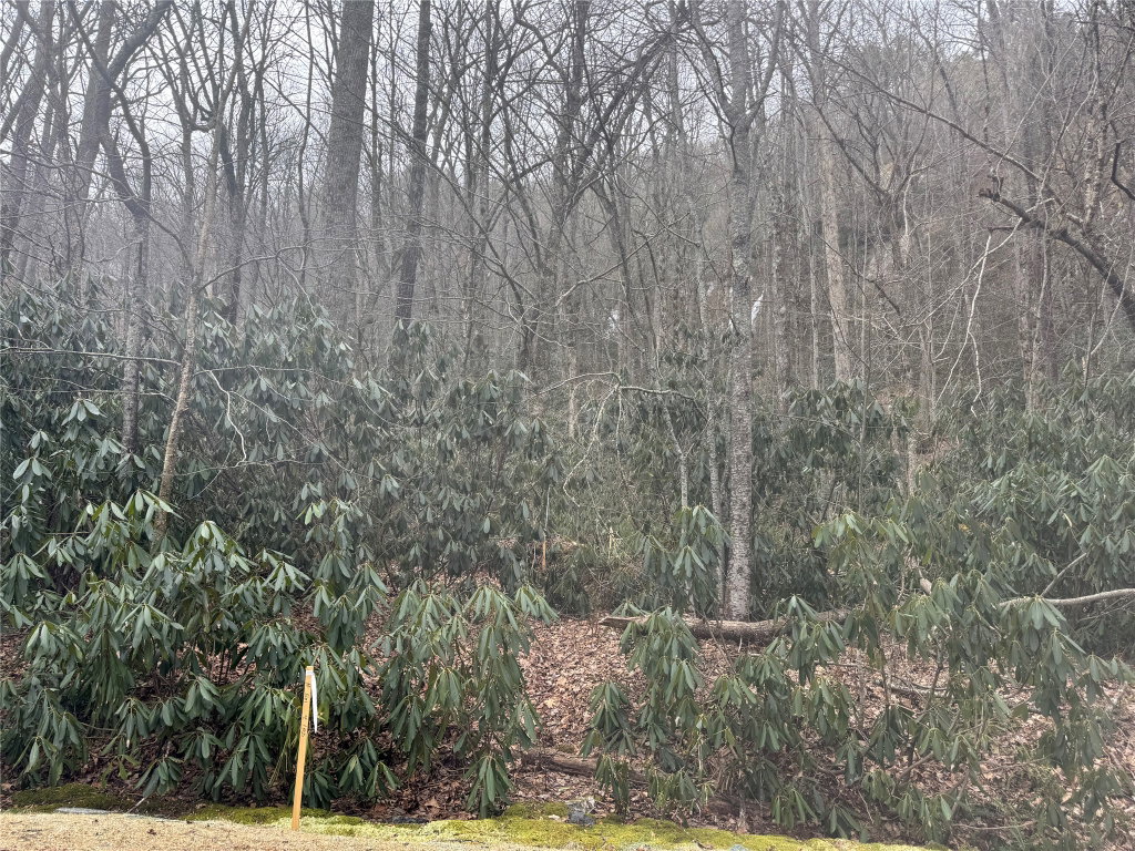 Image Unavailable