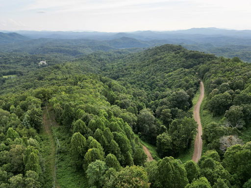 Media Image 2