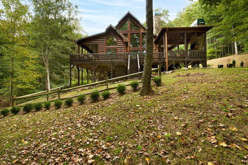 Media Image 3