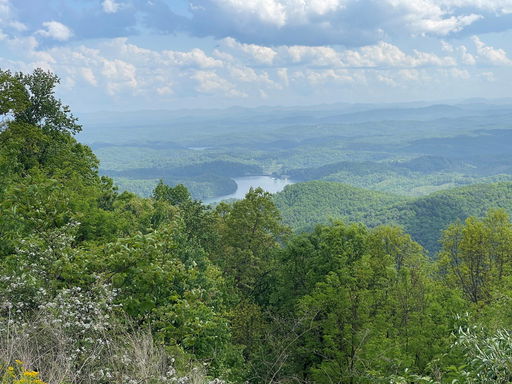 Media Image 2