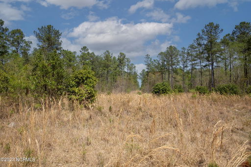 Media Image 2