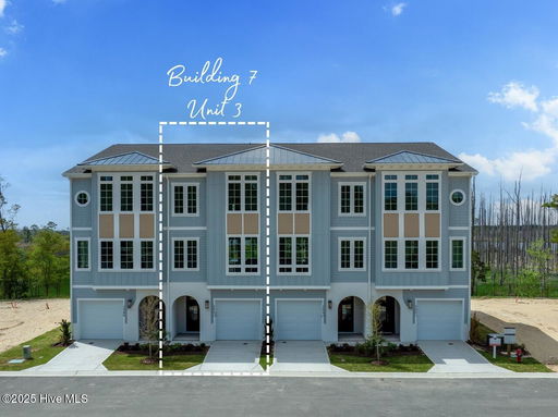 Media Image 3