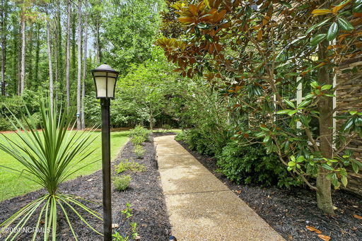Media Image 3